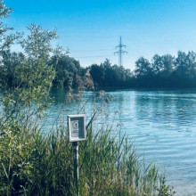 Wörther Weiher